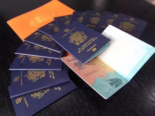 圣基茨护照申请条件，为什么海外移民推荐圣基茨护照？