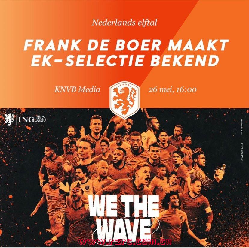 荷兰队阵容(2010世界杯决赛荷兰队阵容)